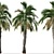 Pair of Spindle Palm Trees (Hyophorbe verschaffeltii) 3D model small image 5