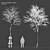 Winter Wonderland: Norway Maple Tree 3D model small image 1