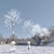Winter Wonderland: Norway Maple Tree 3D model small image 2