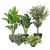Green Oasis: Indoor Plants Collection 3D model small image 1