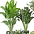 Green Oasis: Indoor Plants Collection 3D model small image 4