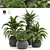 Versatile Outdoor Plant Design 3D model small image 1