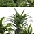 Versatile Outdoor Plant Design 3D model small image 7