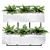 Executive Air Purifying Office Plant 3D model small image 5