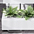 Executive Air Purifying Office Plant 3D model small image 3