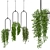 Indoor Hanging Plants Set - 180 Varieties 3D model small image 2