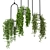 Indoor Hanging Plants Set - 180 Varieties 3D model small image 3