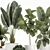 Tropical Plant Assortment with Exotic Beauties 3D model small image 4