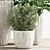 Indoor Plant Collection: Aesthetic and Versatile 3D model small image 4