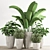 Indoor Plant Collection: Aesthetic and Versatile 3D model small image 5