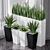 Sanseveria Snake Plant: Office Partition Air Purifier 3D model small image 3