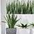 Sanseveria Snake Plant: Office Partition Air Purifier 3D model small image 4