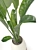 Ficus and Banana Indoor Plant Set 3D model small image 2