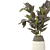 Ficus and Banana Indoor Plant Set 3D model small image 3