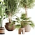 Lush Greenery Indoor Plant Set 3D model small image 3