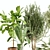 Lush Greenery Indoor Plant Set 3D model small image 4