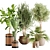 Lush Greenery Indoor Plant Set 3D model small image 7