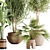 Lush Greenery Indoor Plant Set 3D model small image 9