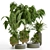 Modern Indoor Plant Vol 30: Stylish & Versatile 3D model small image 1