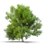 Premium Pecan Tree: Lifelike, Versatile 3D model small image 2