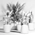 20 Indoor Plant Collection 3D model small image 5