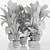 Tropical Plant Set: Ornamental Exotics for Indoor & Outdoor Use 3D model small image 4