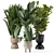 Ferm Living Bau Pot: Large Indoor Plant Set 3D model small image 1