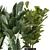 Ferm Living Bau Pot: Large Indoor Plant Set 3D model small image 4