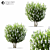 Syringa_vulgaris: Exquisite 2014 Floral Beauty! 3D model small image 1