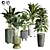 Indoor Plant Collection: 22 Varieties 3D model small image 1