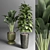 Indoor Plant Collection: 22 Varieties 3D model small image 4