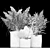 Title: Natural Elements Bouquet Set 3D model small image 6