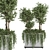 Lush Outdoor Plants - Set 186 3D model small image 3