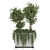 Lush Outdoor Plants - Set 186 3D model small image 5