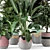 Rustic Concrete Pot Indoor Plants Set 3D model small image 6