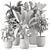 Rustic Concrete Pot Indoor Plants Set 3D model small image 7