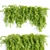 3D Hanging Wall Plants Vol. 64 3D model small image 2