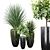 Large Indoor Artificial Succulents for Office Decor 3D model small image 1