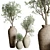 Vintage Olive Tree Indoor Collection 3D model small image 1