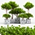 Exotic Bush: High-quality 3D Model 3D model small image 1