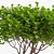 Exotic Bush: High-quality 3D Model 3D model small image 5