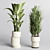 Minimalistic Indoor Plant Collection 3D model small image 2