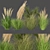 Outdoor Grass Collection: Vol. 287 3D model small image 1