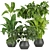 Greenery Delight: Indoor Aglaonema Leaf Collection 3D model small image 1