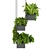 Hanging Indoor Ampelous Plant - Collection Vol. 295 3D model small image 5