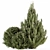 Pine Fruit Bush Set - 55 3D model small image 6