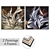 "Artful Impressions: 2 Paintings with 4 Stylish Frames 3D model small image 1