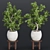 Indoor Greenery Collection Vol. 63 3D model small image 1