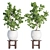 Indoor Greenery Collection Vol. 63 3D model small image 5