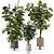 Ferm Living Bau Pot Large - Set 422: Stylish Indoor Plants 3D model small image 1